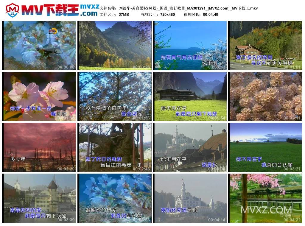 刘德华-苦命梁祝(风景)_国语_流行歌曲_MA301291